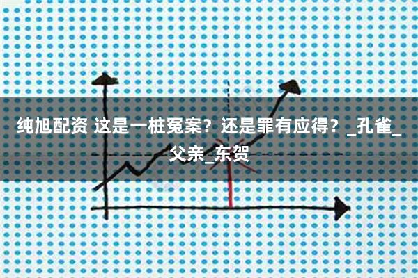 纯旭配资 这是一桩冤案？还是罪有应得？_孔雀_父亲_东贺