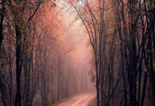 配资开户公司:网上炒股配资平台-全球市场：美股三大指数涨跌不一 亚马逊涨4%创新高 美光科技涨近5%